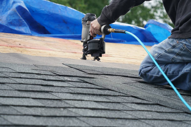 Roof Installation Near Me in Steeleville, IL