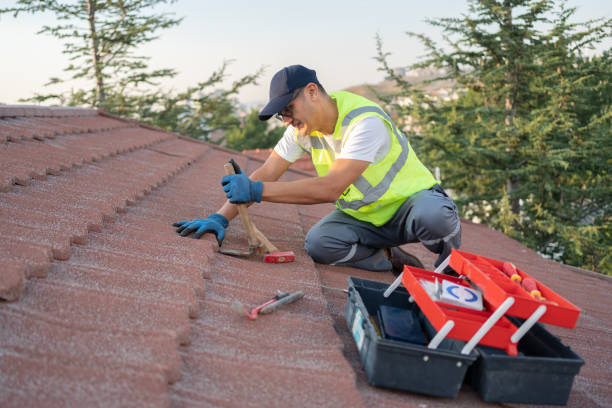 Best Commercial Roofing Services  in Steelevle, IL